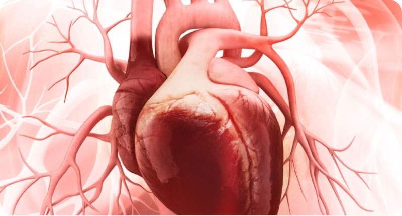 Patient Story: WCM Helped Cheryl Beat a Rare Blood Cancer